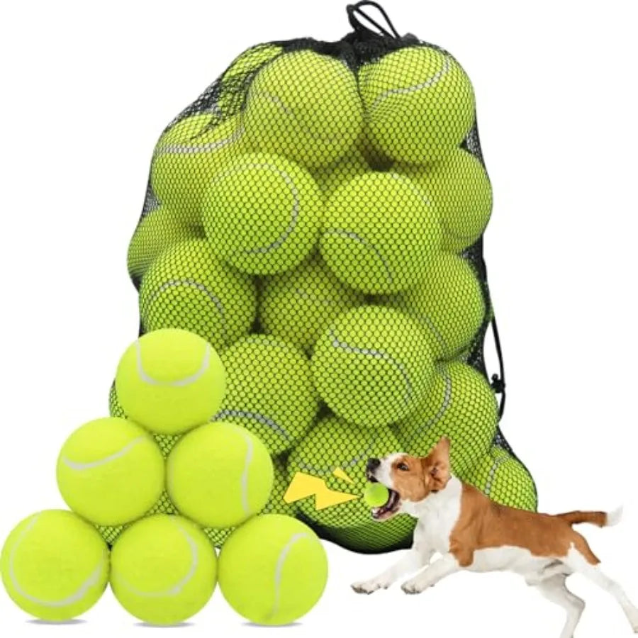 Squeaky Tennis Balls for Dogs 2.5 inch Training Exercise Ball with Mesh Carry Bag Easy to Transport Yellow 60 Pack