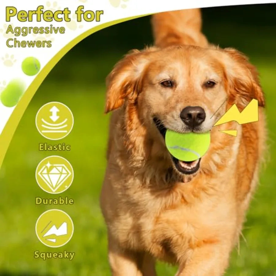 Squeaky Tennis Balls for Dogs 2.5 inch Training Exercise Ball with Mesh Carry Bag Easy to Transport Yellow 60 Pack