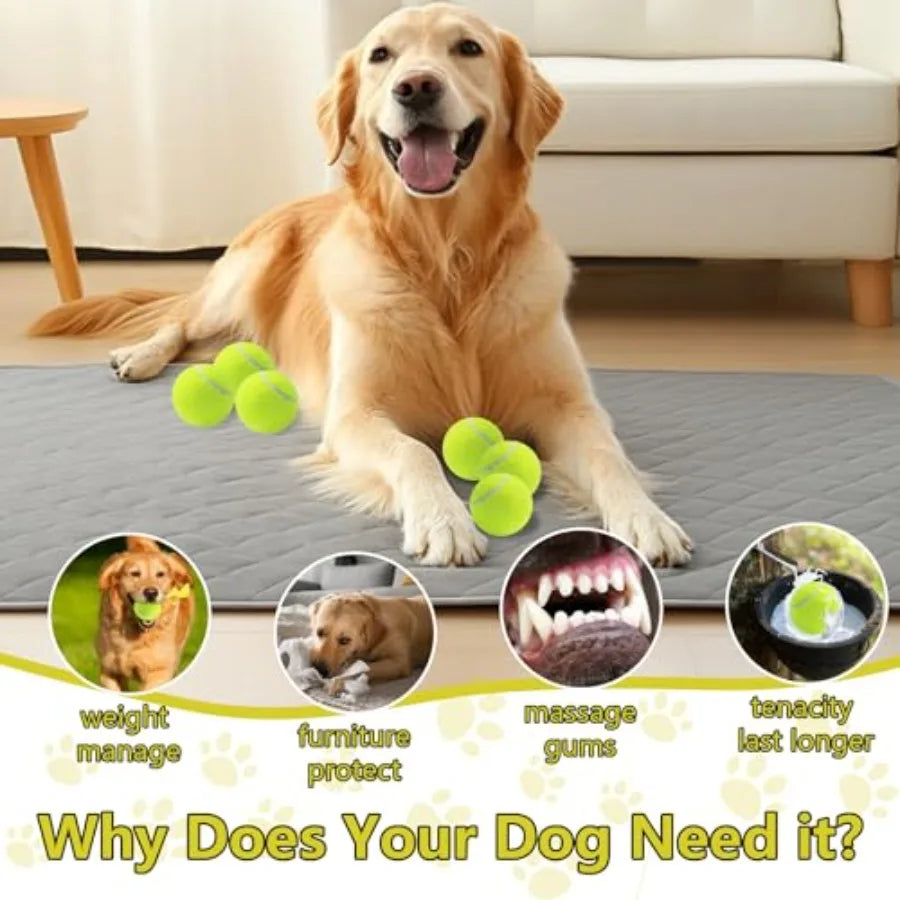Squeaky Tennis Balls for Dogs 2.5 inch Training Exercise Ball with Mesh Carry Bag Easy to Transport Yellow 60 Pack