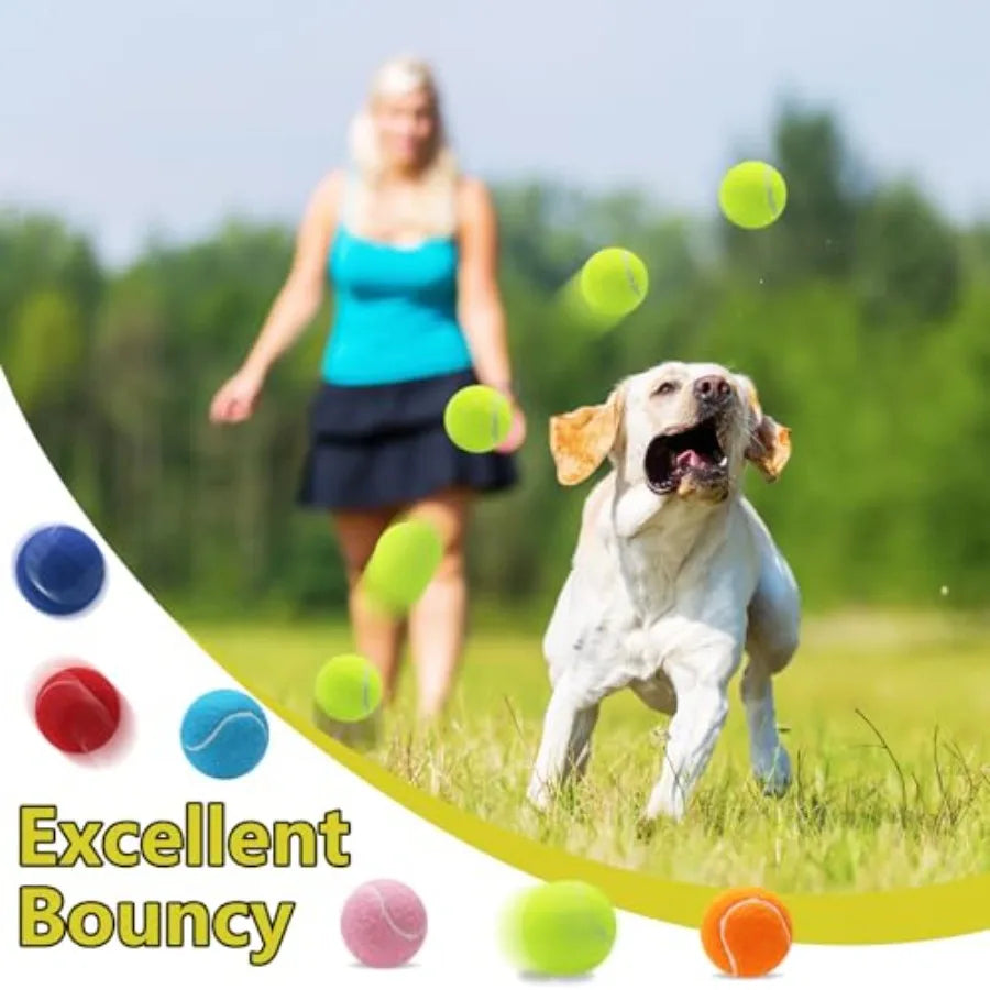 Squeaky Tennis Balls for Dogs 2.5 inch Training Exercise Ball with Mesh Carry Bag Easy to Transport Yellow 60 Pack