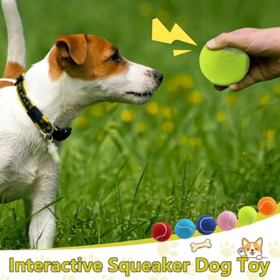 Squeaky Tennis Balls for Dogs 2.5 inch Training Exercise Ball with Mesh Carry Bag Easy to Transport Yellow 60 Pack