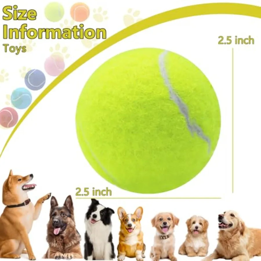 Squeaky Tennis Balls for Dogs 2.5 inch Training Exercise Ball with Mesh Carry Bag Easy to Transport Yellow 60 Pack